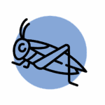 Icône d'un criquet sur un fond bleu